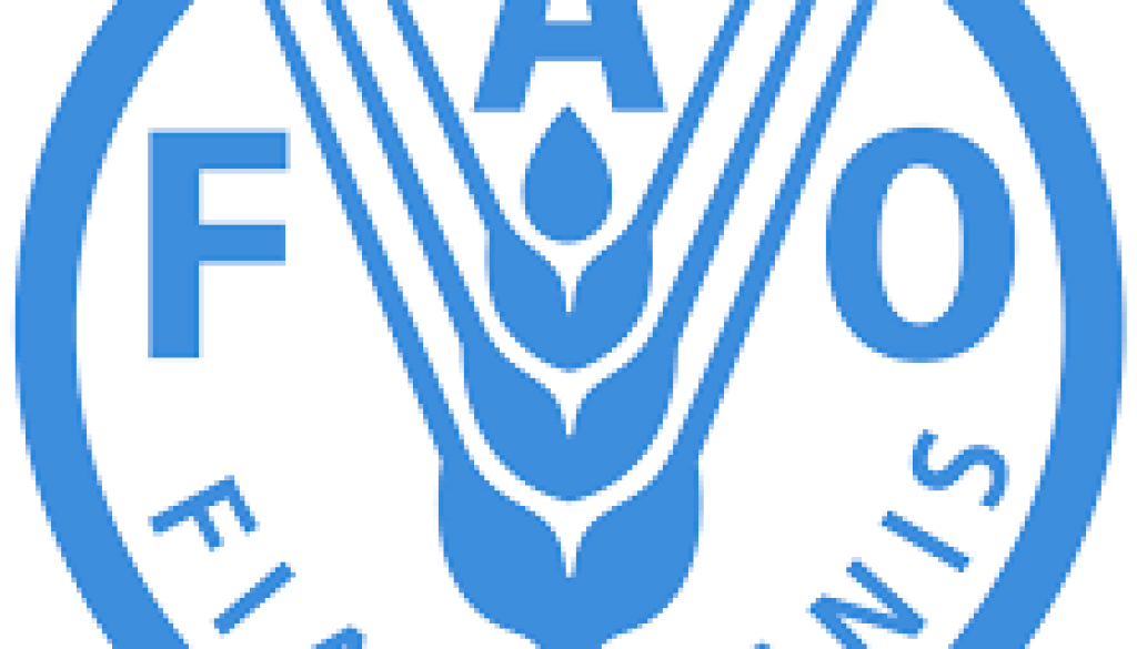 Operations Officer Vacancy-Job Ref: WJSSFAO/2407/2025828