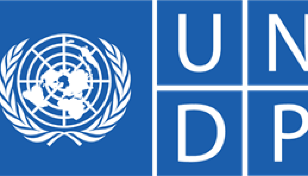 Project Analyst Vacancy-Job Ref: WJSSUNDP/2407/2025830